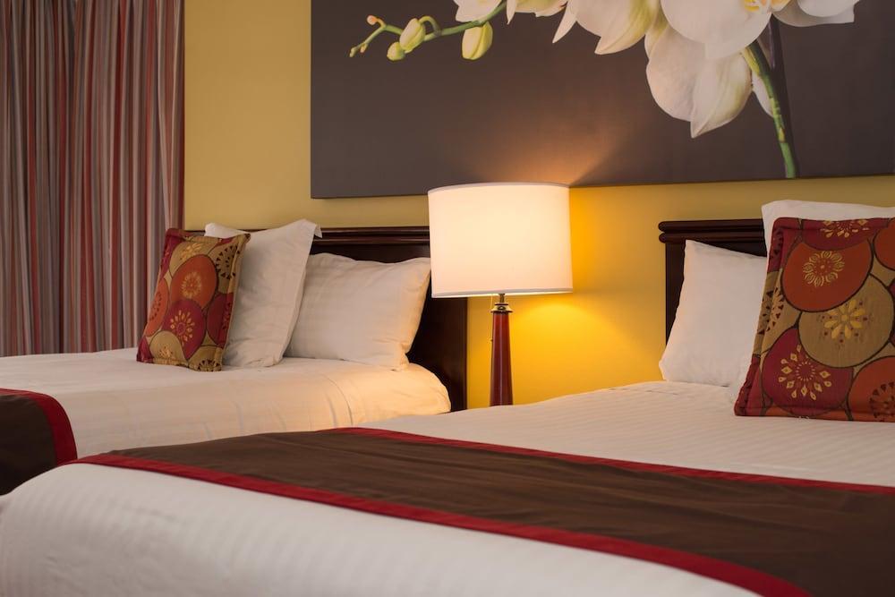 Hotel Palma Real San Jose  Luaran gambar